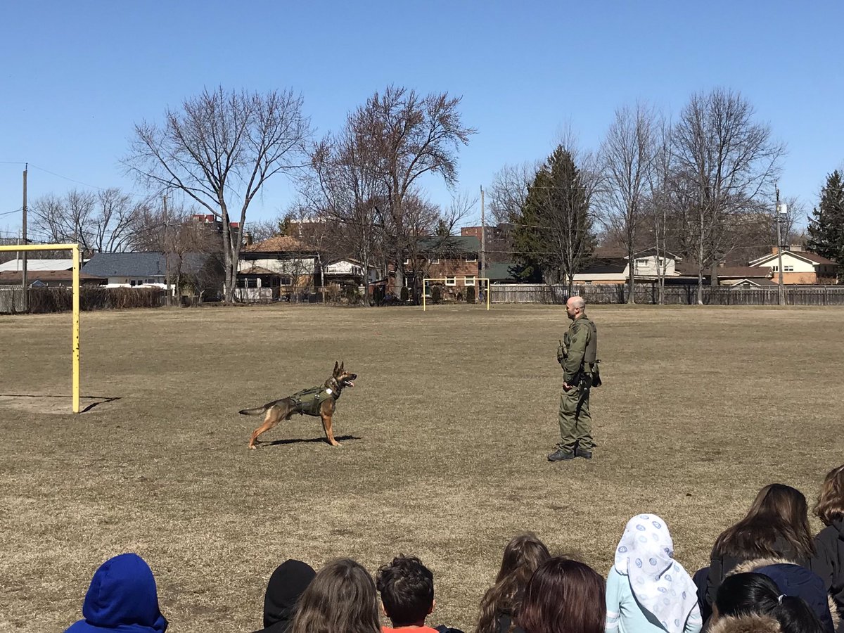 ChampagneMrs's tweet photo. Thank you to our VIP officer @TarnoWPS for inviting Officer Milan of @OPP and Maximus to visit with us @HetheringtonPS.  We enjoyed learning about the work of a police dog and the demonstration.  @WindsorPolice @ToussaintGreene @gecdsbpro https://t.co/QiAonwESMf