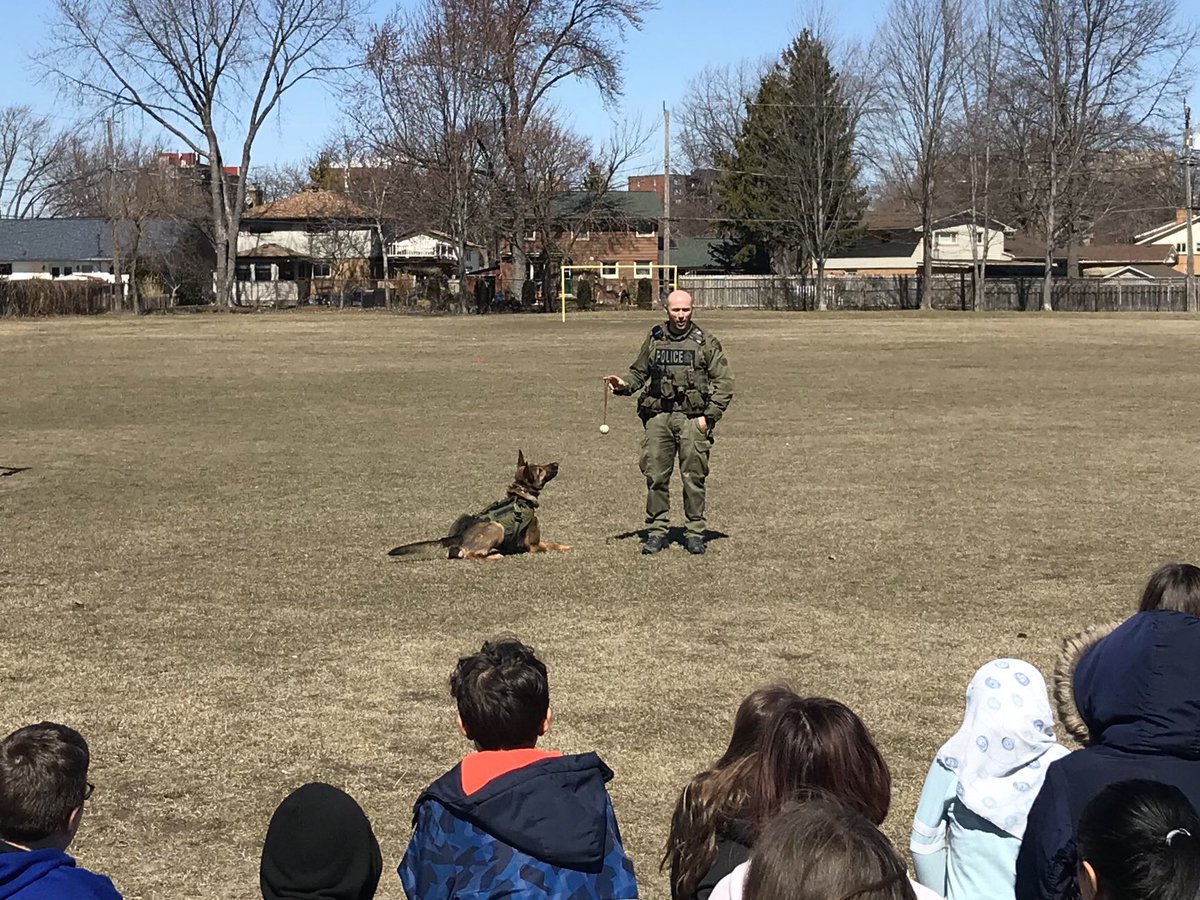 ChampagneMrs's tweet photo. Thank you to our VIP officer @TarnoWPS for inviting Officer Milan of @OPP and Maximus to visit with us @HetheringtonPS.  We enjoyed learning about the work of a police dog and the demonstration.  @WindsorPolice @ToussaintGreene @gecdsbpro https://t.co/QiAonwESMf