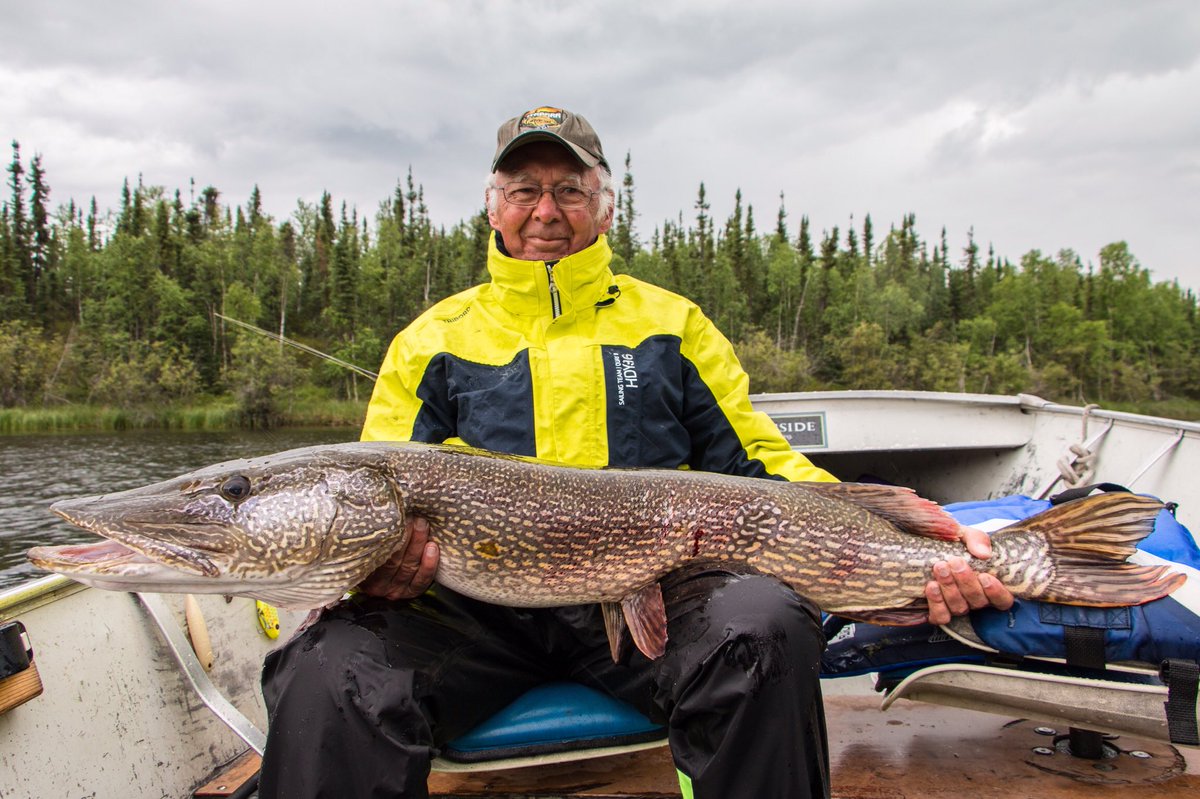 Frontier Lodge - Gateway to Thaidene Nene tweet media