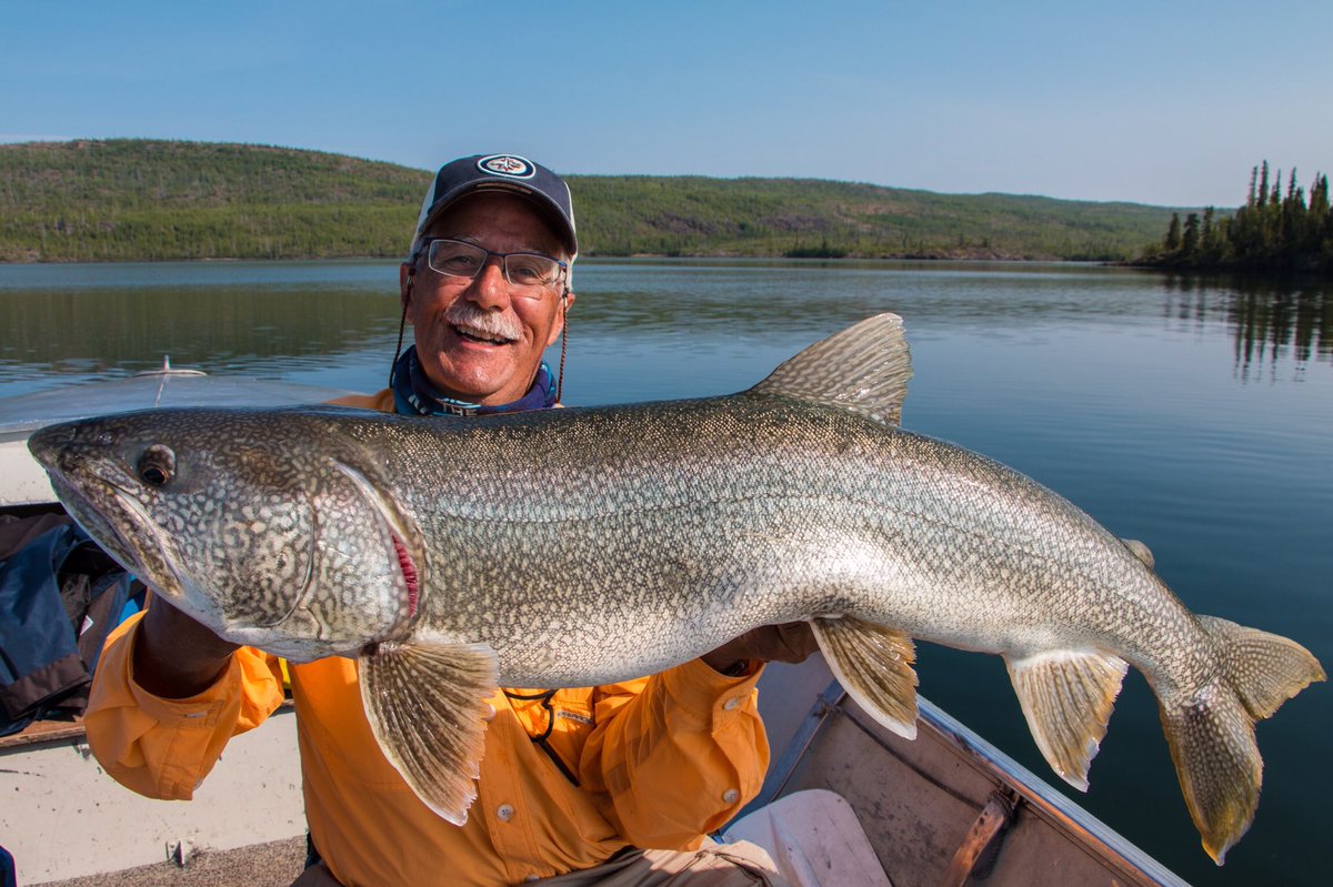 Frontier Lodge - Gateway to Thaidene Nene tweet media