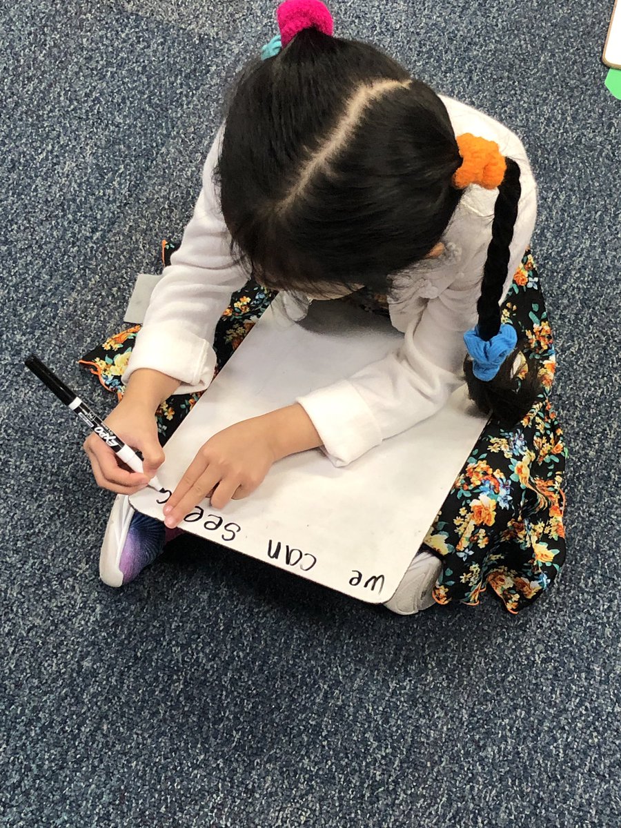 pena_prek's tweet photo. Pre-K kids are using high frequency words to learn about sentences. #bemorecomposing #bemorewildcat https://t.co/AYEfmoaaql