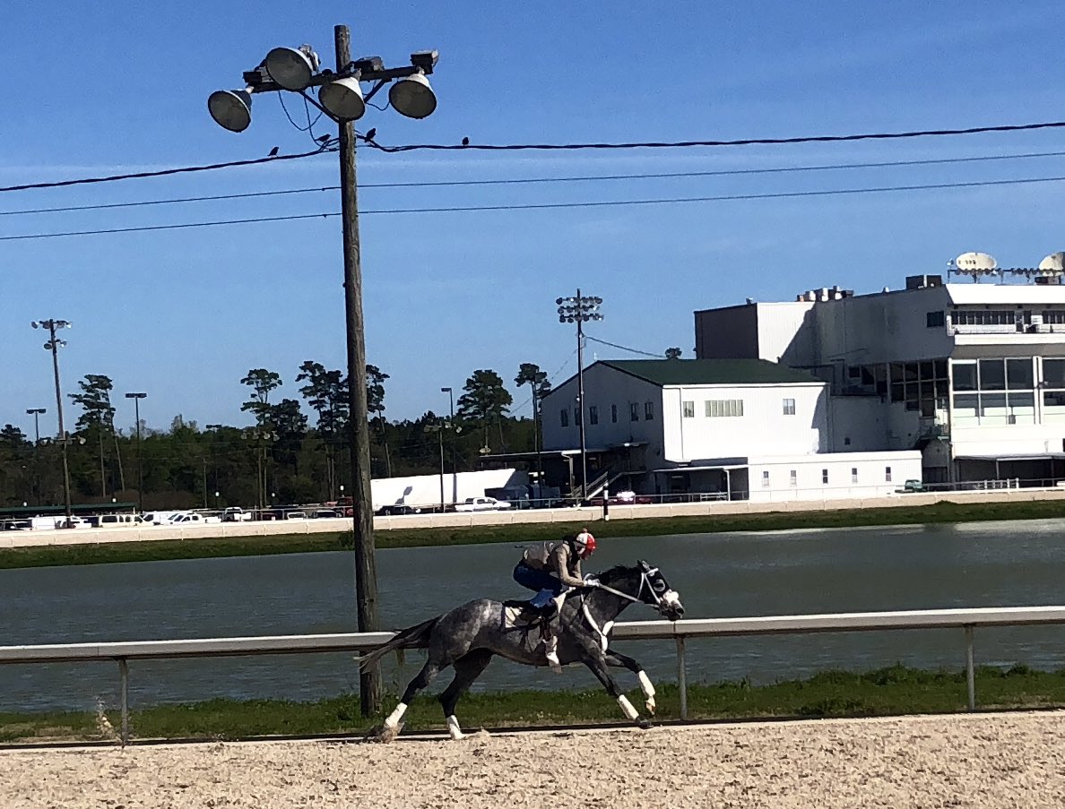 GrudzienRylee's tweet photo. Ready for these two boys to close out the @SHRPRacing meet for the team today. #WhatPower #DiplomaticShaft https://t.co/a4P1uZa5YU