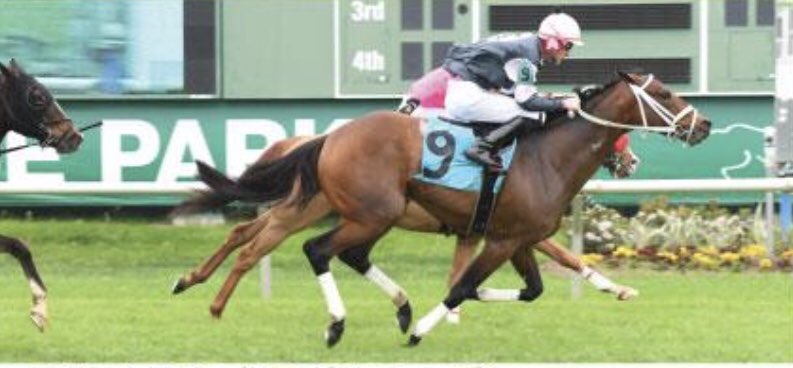 GrudzienRylee's tweet photo. Ready for these two boys to close out the @SHRPRacing meet for the team today. #WhatPower #DiplomaticShaft https://t.co/a4P1uZa5YU