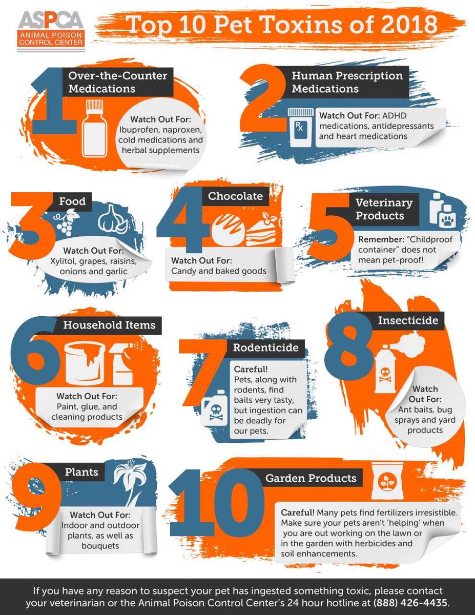 CentralCatON's tweet photo. Protect your kitty from pet toxins. Here is a list of the top 10 pet toxins in 2018 from the ASPCA Animal Poison Control Centre. https://t.co/4v3vWyaYfa