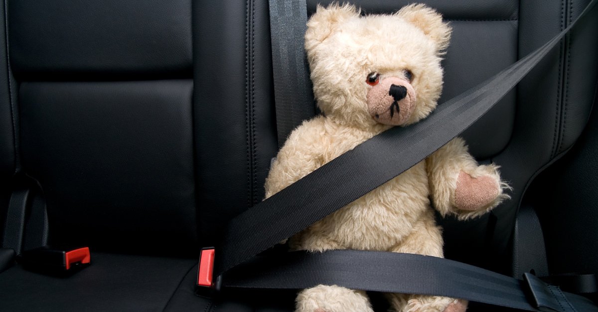 Sergeant Herbie Royce 'Whether your car journey is five minutes or five hours always wear your seatbelt furry community!'
#SeatbeltSafety