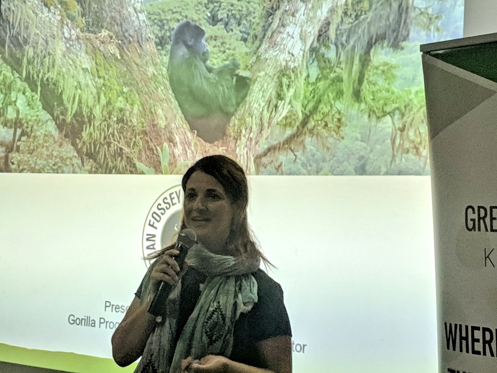 .<a href="/ve_vecellio/">Veronica Vecellio</a> starts her presentation on Dian Fossey Gorilla Fund. #Greendrinkskigali