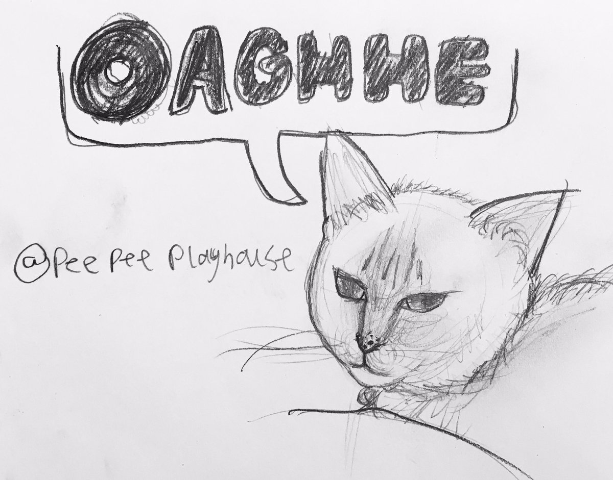 some divine wisdom from @peepeeplayhouse aka the best cat ever
