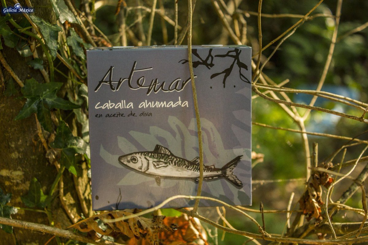 <a href="/Cons_Artemar/">Conservas Artemar</a> <a href="/Galicia_Mola/">Galicia Mola :)</a> <a href="/GaliciaMaxica/">Galicia Máxica</a> <a href="/TragonDel/">Tragon del Planeta</a> <a href="/vadepaladares/">vadepaladares</a> <a href="/GastroSER/">Gastronomía</a> <a href="/GASTROGALego/">Gastrogal </a> <a href="/GastroyPolitica/">GastroyPolítica</a> <a href="/GastronomiaGa/">Gastronomía Galega</a> <a href="/GastronomiaGal3/">Gastronomia Gallega</a> <a href="/conservasisabel/">Isabel</a> <a href="/ConservasFrinsa/">Frinsa</a> <a href="/con_chanquete/">Conservas Chanquete</a> <a href="/ConservasBalea/">Balea</a> <a href="/luisescuris/">ConservasLuisEscurís</a> <a href="/ConservasCuca/">Conservas Cuca</a> <a href="/ConservasRustic/">ConservasRusticas</a> <a href="/serrats/">Conservas Serrats 🎣</a> <a href="/GaliciaCalidade/">Galicia Calidade</a> Compramos esta caja porque seguía la página y venía dentro <a href="/Cons_Artemar/">Conservas Artemar</a> . ahora no faltáis nunca en mi casa 😜 galiciamaxica.eu/mini/nuestra-c… @seseixa que te seguimos 👩‍👧 
Foto <a href="/GaliciaMaxica/">Galicia Máxica</a>