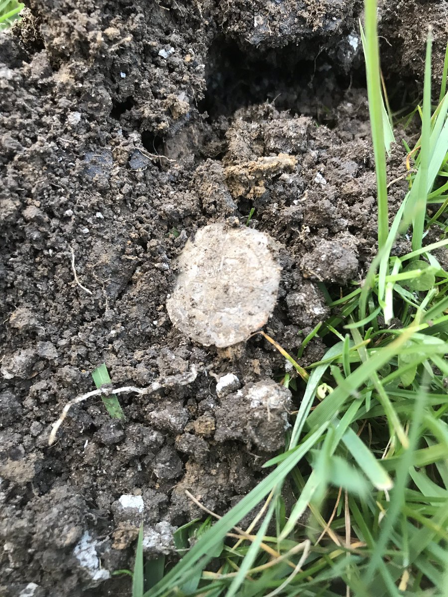 PeakDetectorist's tweet image. It makes me feel like a real detectorist. Get in!!! 😀😀💪🏼