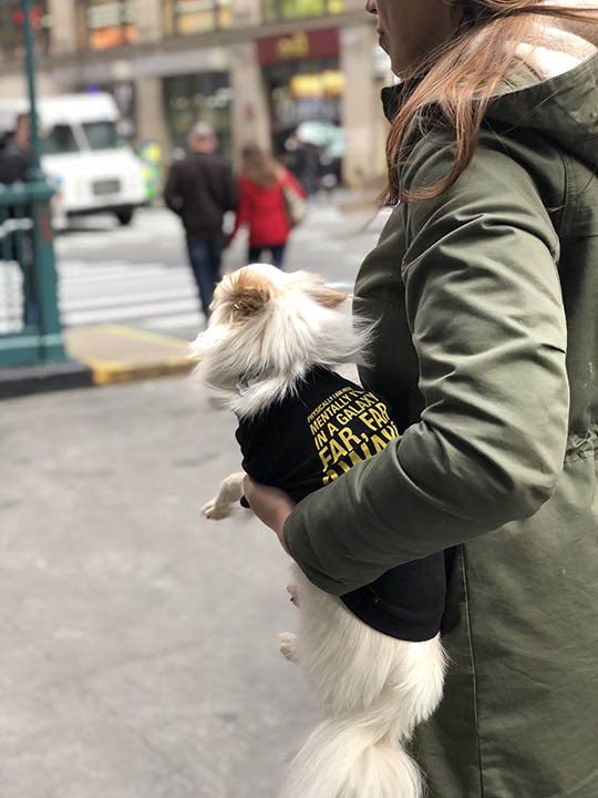 More <a href="/SW_Celebration/">StarWars Celebration</a> exclusives revealed- including new products from <a href="/Fetch4pets/">Fetch ... for Pets!</a>! Yea!  starwars.com/news/star-wars… #StarWarsCelebration #AnimalsLoveStarWarsToo