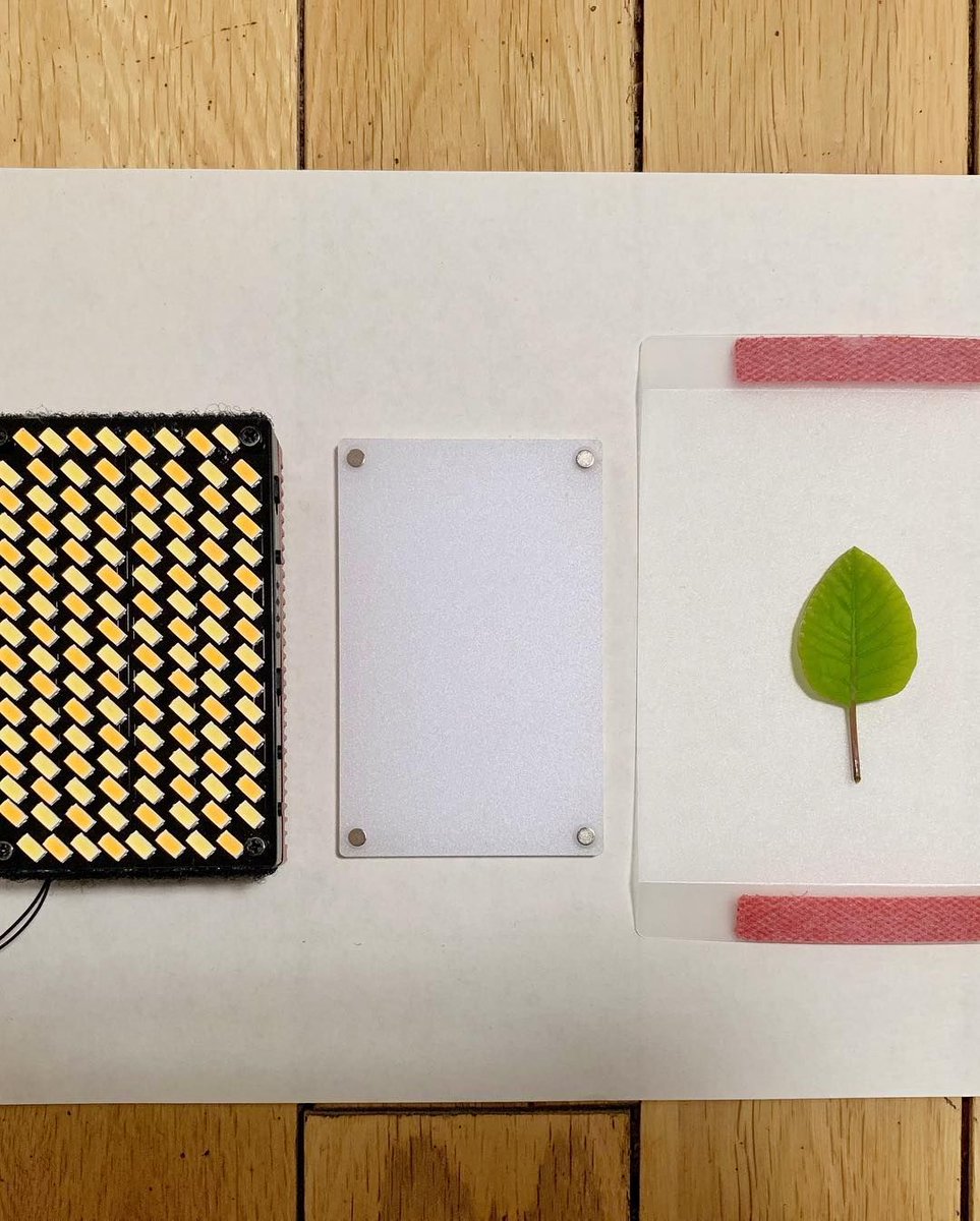 pergear's tweet image. Lighting up a leaf using @aputuretech AL-MX, 
a compact, bright daylight balanced light
Shop Now &amp;gt;&amp;gt; buff.ly/2R344OD
.
Credit: Joseph Zhao
#filmmaking #photography #miniledlight