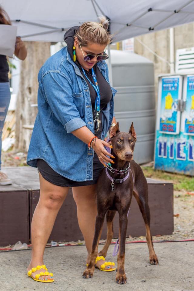 FefiviriLugardo's tweet photo. 2 perras juntas.... #bebedemami #ZafiraTheDobe https://t.co/TdfSK87Va9