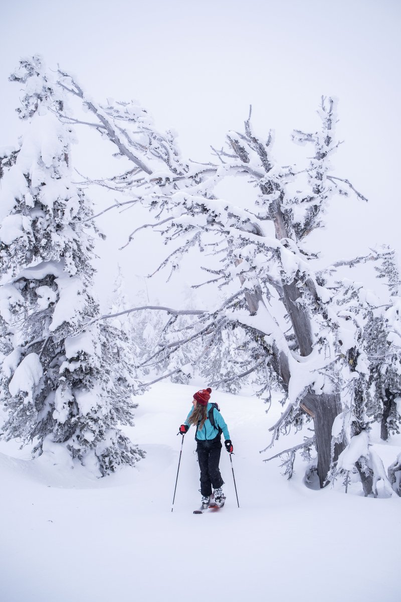 Mountain Standard tweet media