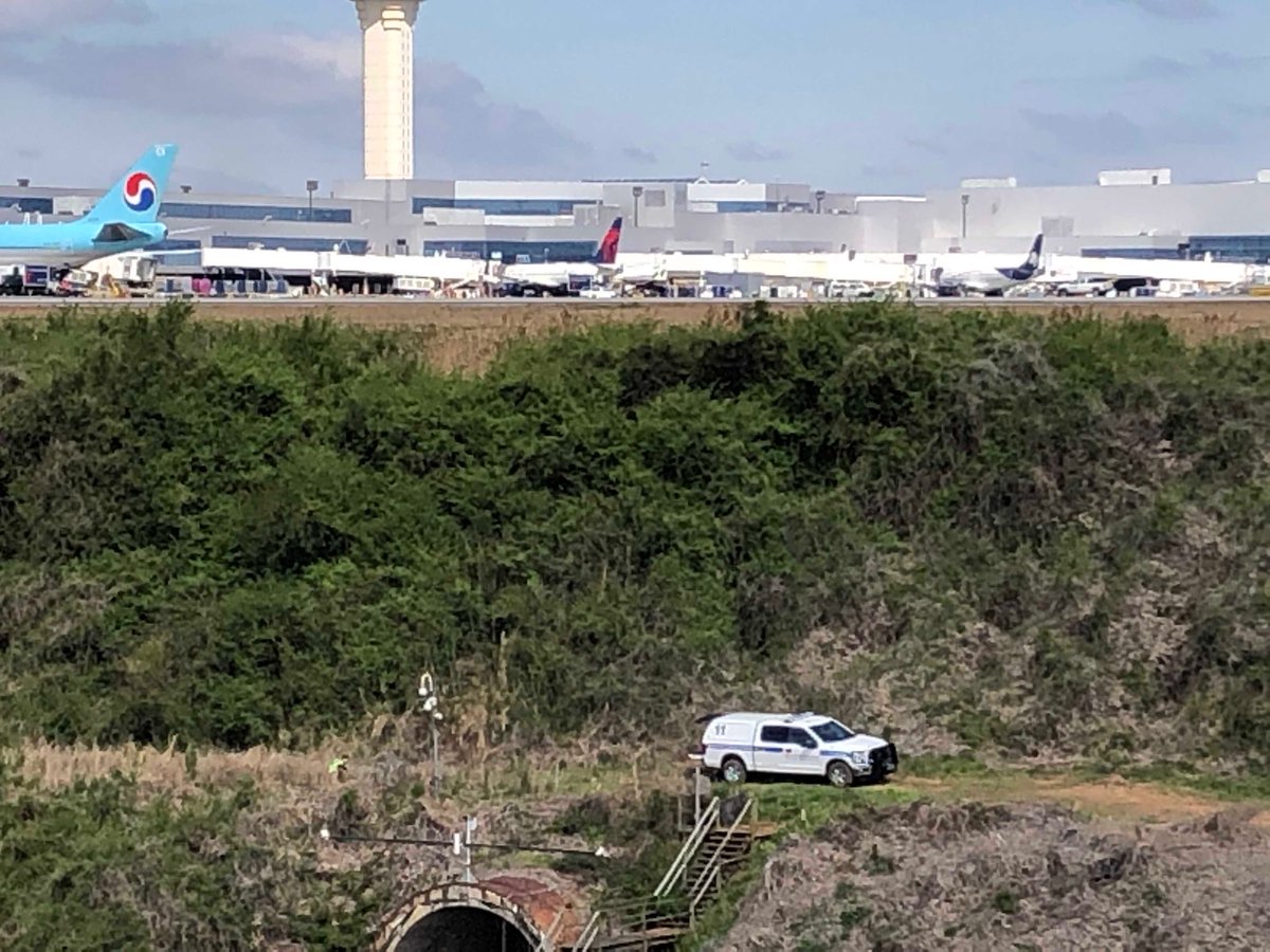 ATLairport's tweet photo. Gayle update:
The show dog who apparently escaped her crate at #ATL Saturday, was spotted in an airfield thicket by ATL Ops teams this morning. A baited trap has been set and is now being monitored. https://t.co/3ol5dKtQnv