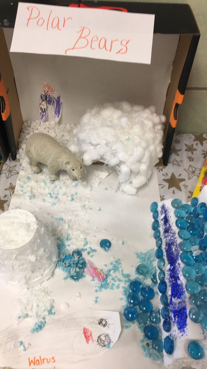 MsSheaRm117's tweet photo. Researching and writing about animals was hard but making it come to life was fun, engaging and an awesome way to show off our new knowledge! Check out Ms. Shea’s super stars’ habitats! #FalconNation #bees4life #superstarsshine https://t.co/pritDCyCTC