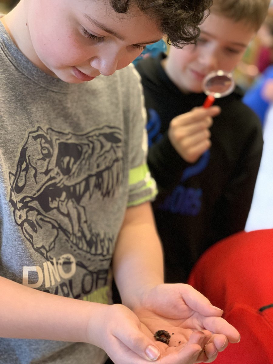 UnitedWayNL's tweet photo. What a wonderful afternoon with Ms Doyleโs Grade 4 class @paradiseelem today! As a funder of the @littlegrnthumbs program, we live to see the planting in action - even if itโs #redwiggler worms for the #vermicompost @AITCNL @NLESDCA https://t.co/NkMipPaNpK