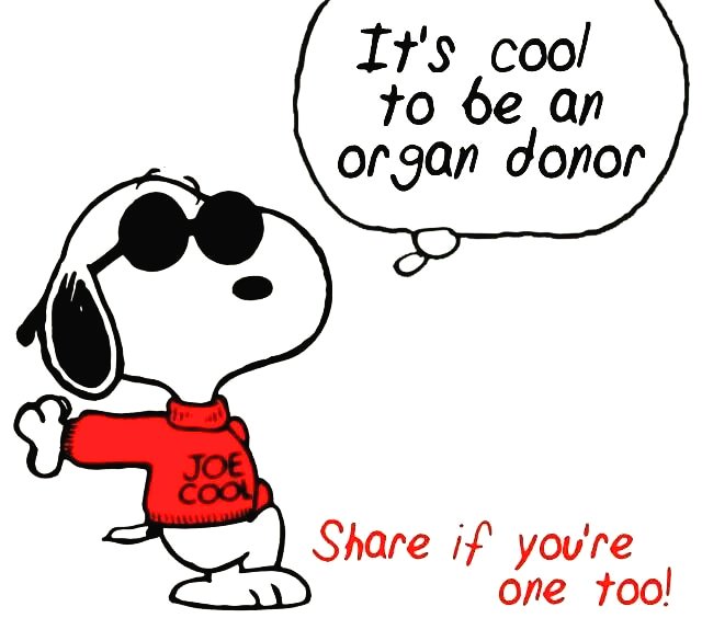 How cool are you? 😆. Register as an organ donor at beadonor.ca #beadonor #beahero #giftoflife #donatelife #savelives #savealife #organdonor #organdonation  #givelife #makeadifference #myottawa #ottawalife #ottawaproud #ottawa #Ontario #followus #sharelife