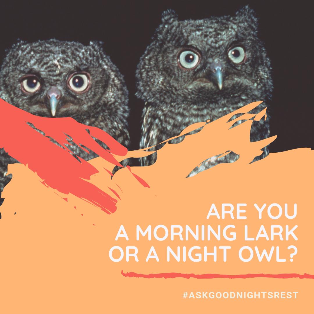 GoodNightsRest's tweet photo. Learn about #chronotypes and find out how to use that knowledge to your advantage.

Find out more:
https://t.co/oFQD6cyXNK https://t.co/tfb1fF6g2l