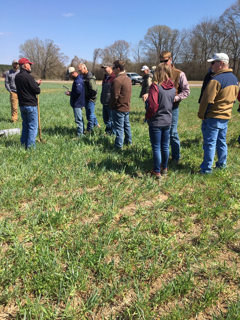 BillBurdinePhD's tweet photo. Able to share my cover crop experiences w growers at Tippah County Field Day. They enjoyed Louis Wasson showing how drones can enhance crop scouting. @MSU_nmrec @mscrops https://t.co/lVkmv3kM42