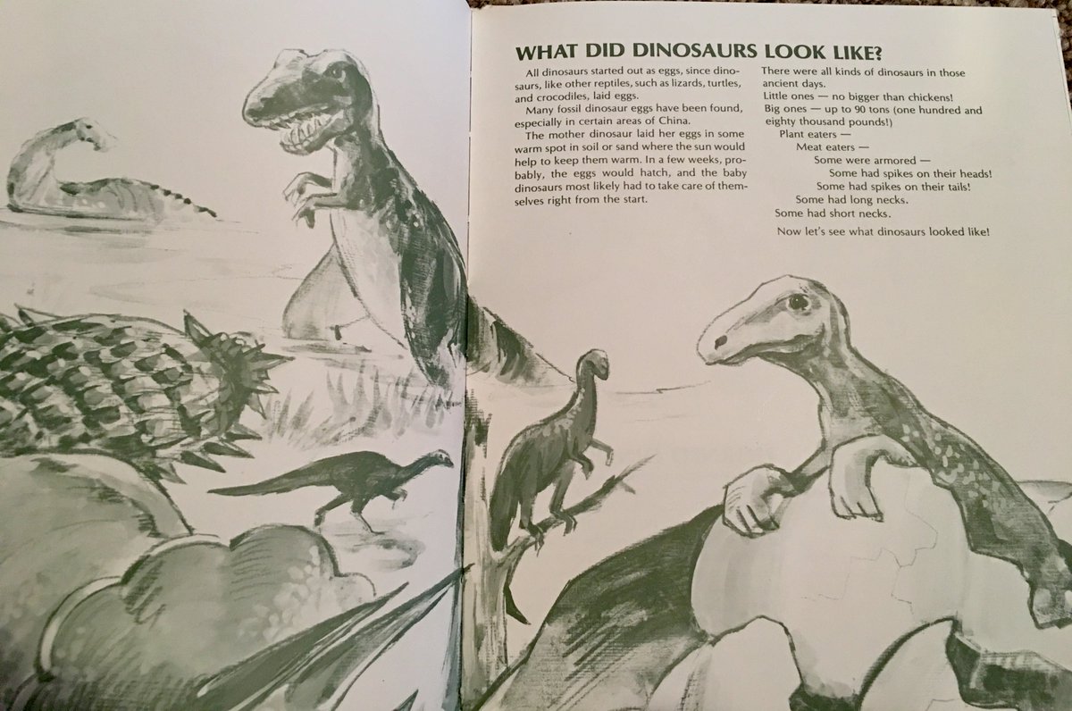 55. I won't spent much time on the next page, "What Did Dinosaurs Look Like?" Gish sets himself us to tell us about fossilization, and about different kinds of dinosaurs. He tells us they hatched from eggs. #Exvangelical  #ExposeChristianSchools  #ExposeChristianHomeschooling