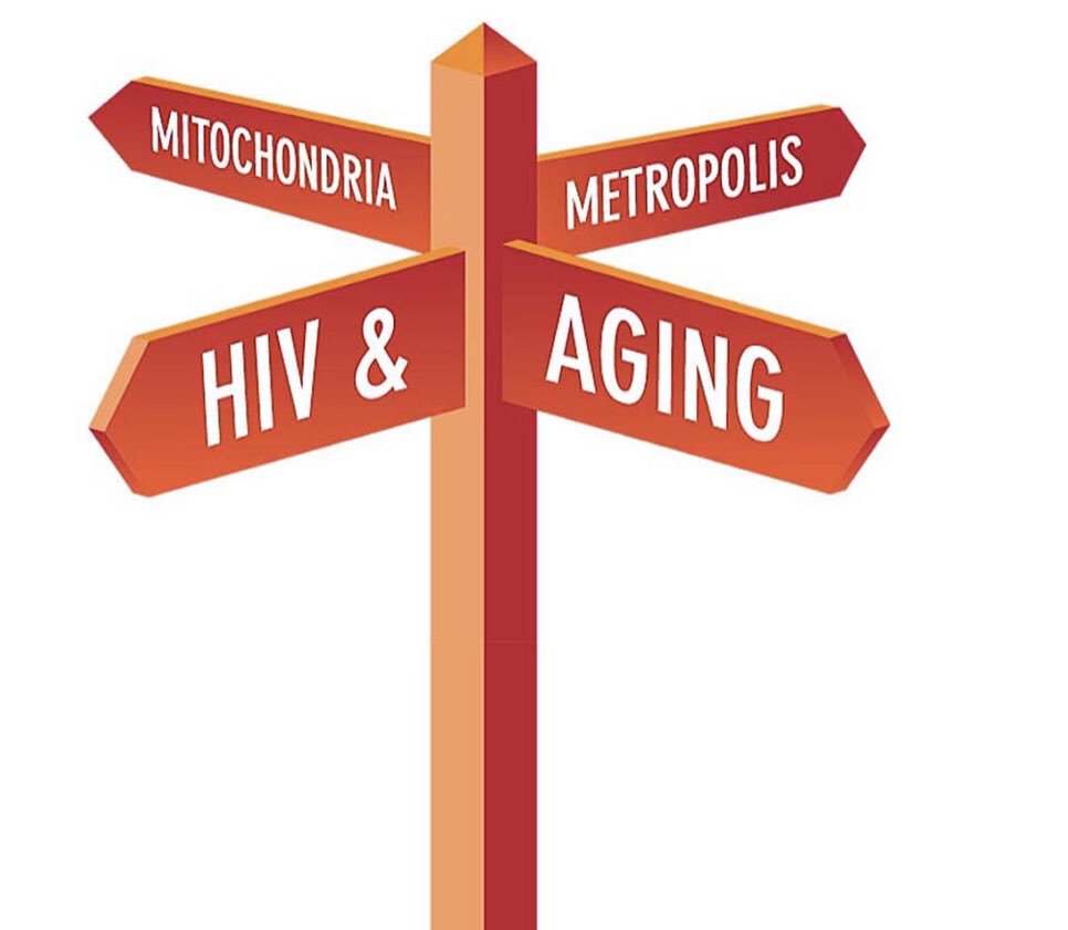 AgeingHIV's tweet photo. Geriatric-HIV medicine: 
A science in its infancy
What are This so called This so called Comprehensive Geriatric assessments? Could they be applied on Ageing PLWHIV? 
https://t.co/jgsDZl4P1z https://t.co/MLC789zG2Q