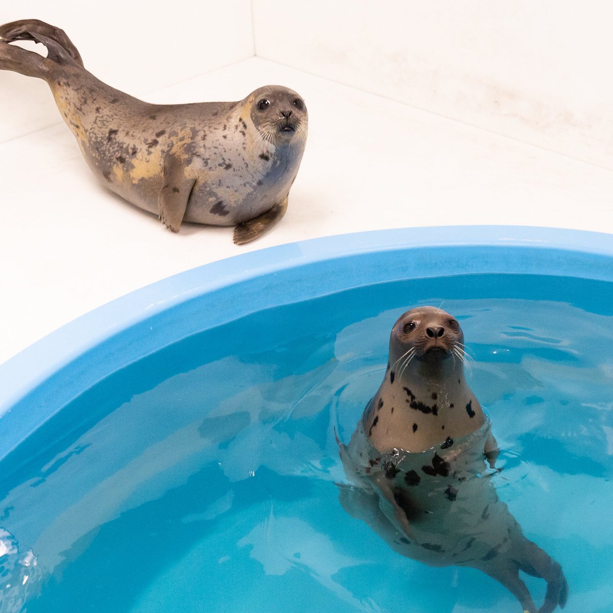 National Aquarium on Twitter: National Aquarium on Twitter: