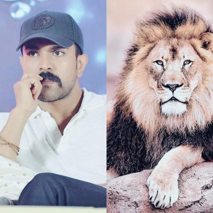 RRR Movie on Twitter: 