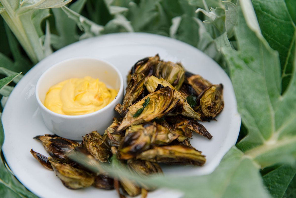 From humble beginnings in our garden, to the josper, then served with saffron aioli. Artichokes are always a welcome addition to the Coltivare garden, ranking among one of the most antioxidant-rich of all vegetables. 
#ColtivareHouston #AgricoleHospitality