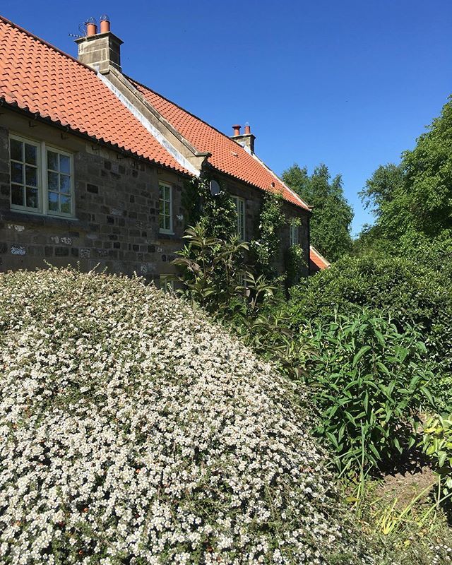 FarmhouseHq's tweet photo. The garden is coming back to life🌳#thefarmhouseyorkshirehq https://t.co/cEmDSdewCC https://t.co/lW4oz8HrpU