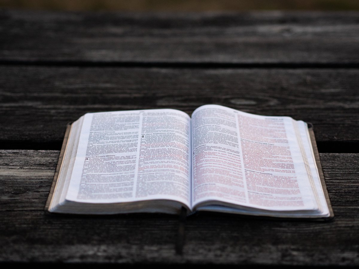 thehavenli's tweet photo. WHAT WE BELIEVE
Our system of doctrine is the #Reformed faith, also called #Calvinism (because John Calvin was the most important exponent of it during the #Reformation).
These doctrines are set forth in the #Westminster Confession of Faith & the Larger & Shorter #Catechisms. https://t.co/UJzKofkfne