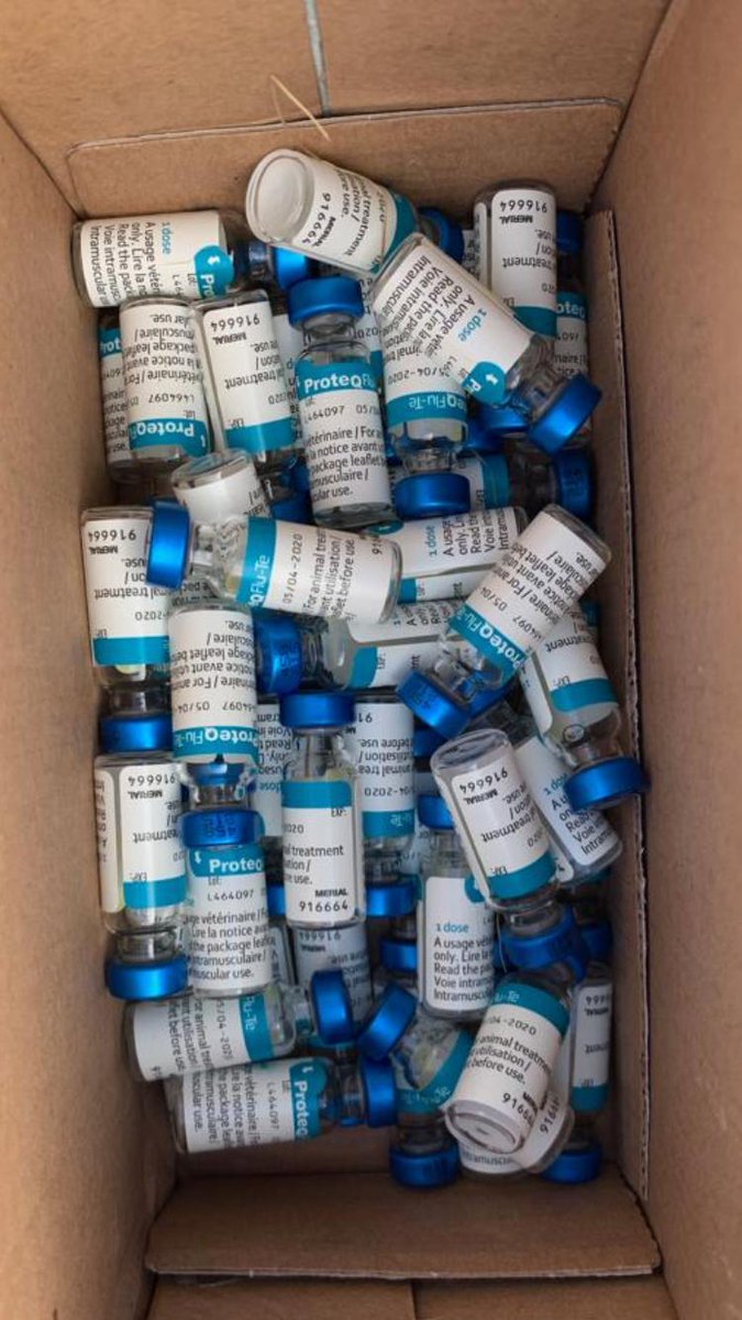 This week is horse health week. We’ll be discussing ways you can keep your horses healthy!! Did you know Equine Flu is endemic in the UK? Vaccinating your horses and ponies is one simple way of protecting them from the disease #keepingyourhorsehealthy #horsehealthweek #equinevet