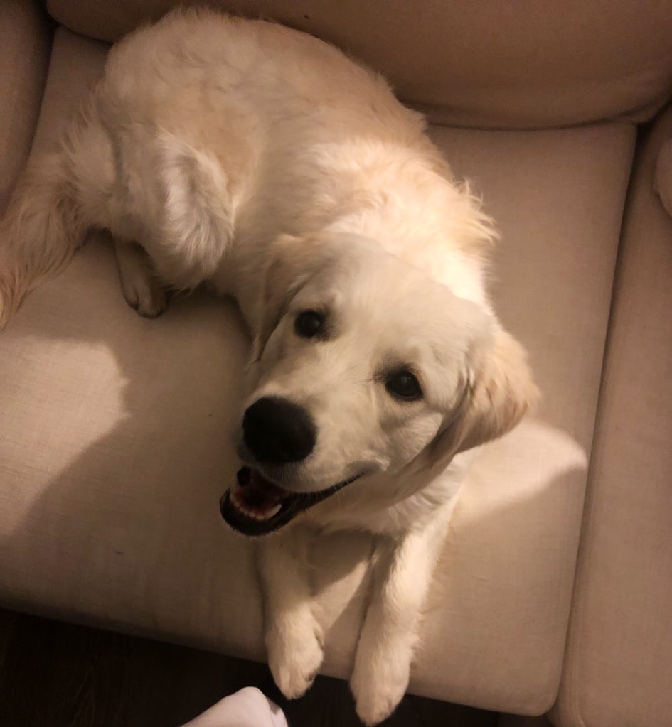 Stephanie Tierhold tweet media