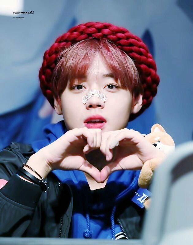 COCO_CHANOM tweet media