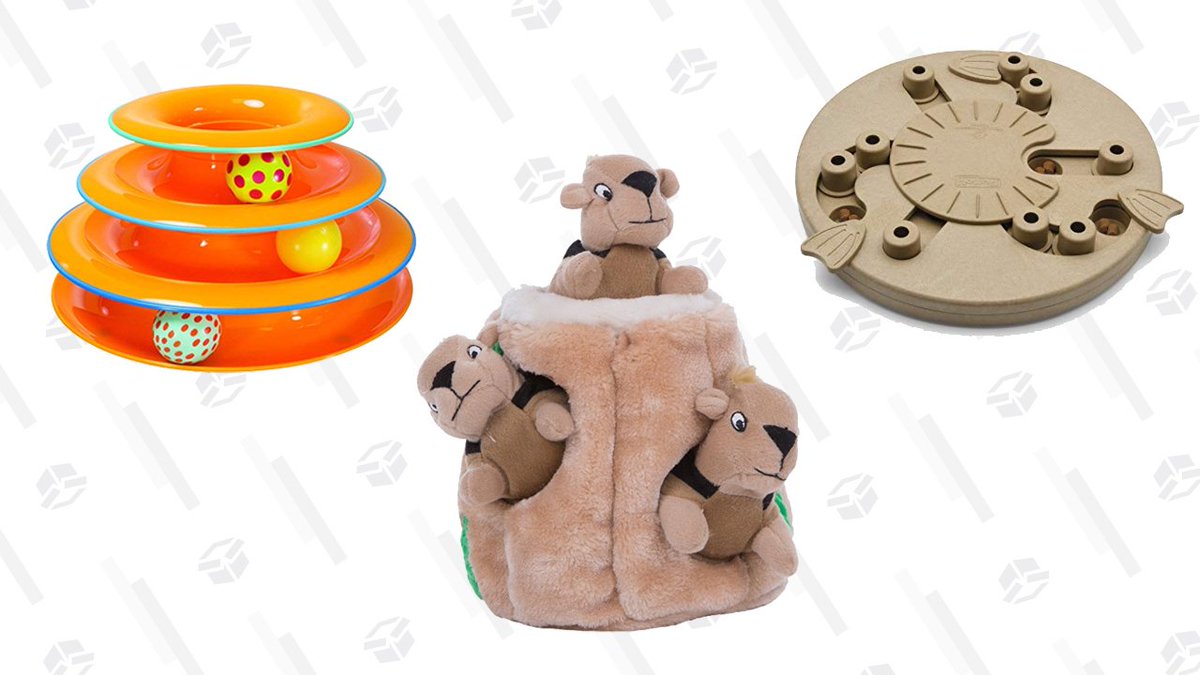 KinjaDeals's tweet photo. A pet toy Gold Box is in play today. https://t.co/SWlxHGsvl7 https://t.co/6HEAZ9GhIL