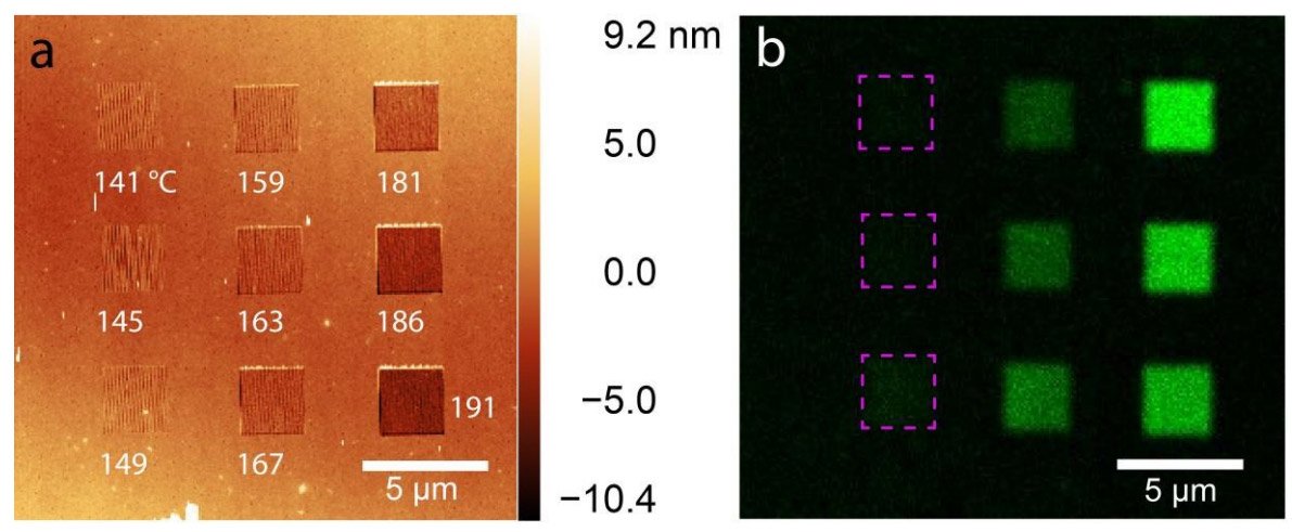 AXT_Australia's tweet image. High-throughput and large-scale #nanopatterning of enzymes with sub-10nm resolution, the size range of individual #protein molecules achieved using the @SwissLitho Nanofrazor #tSPL #lithography system bit.ly/2TBwbFR #nanotechnology #lifescience