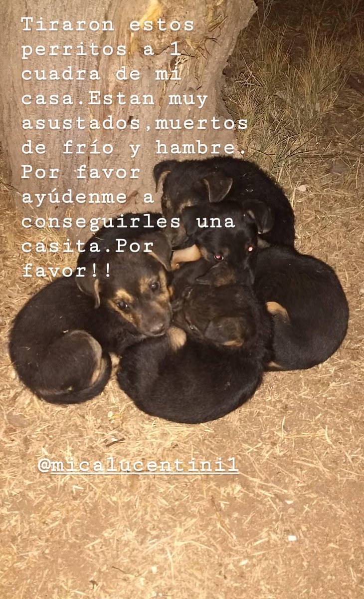 valevattiata's tweet photo. Por favor difundir. Cualquiera que pueda ayudarme me vendría muy bien. Gracias! https://t.co/ifXmR5e74z
