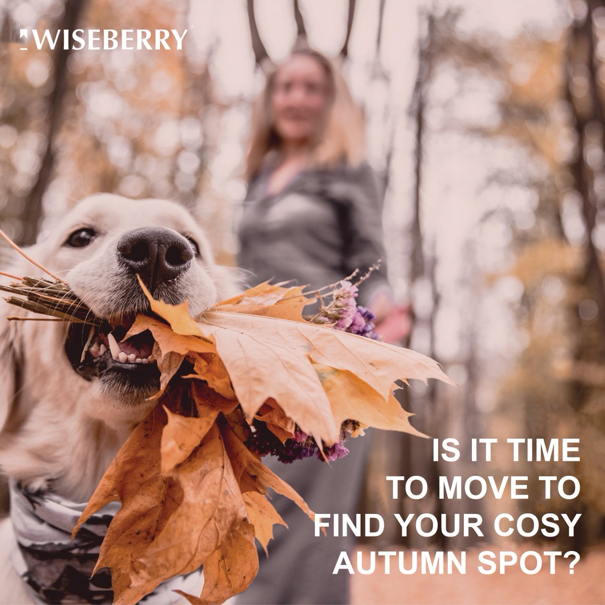 WBThompsons's tweet photo. Is it time to move to find your cosy Autumn spot? 🍁
#wiseberry #realestate #autumn #hawkesbury #nepean #forster #portmacquarie https://t.co/CMh0A6TvYz