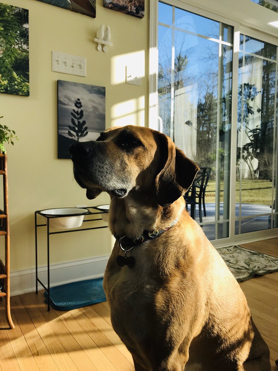 Ben Jones tweet media