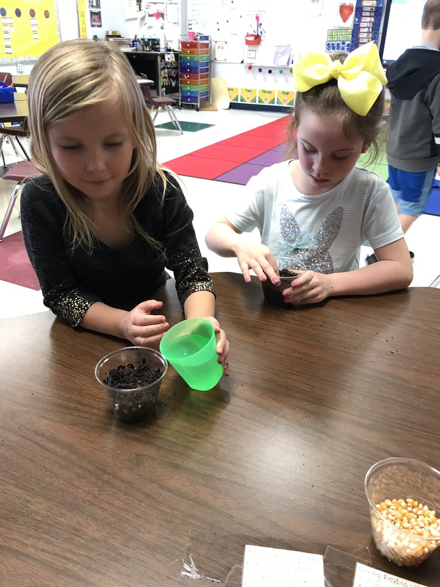202shenanigans's tweet photo. Weβve been learning about the lifecycle of a plant, so today we got to plant our own seeds! Now we get to water them every day and watch them grow! #memorablemoments #kindermathrules #robinsonISD @RobinsonPrimary https://t.co/MT6QsMfYdR