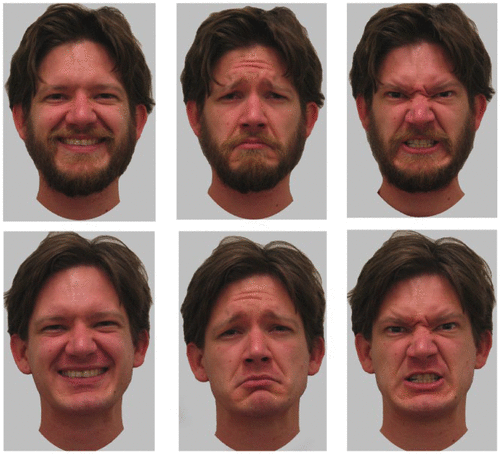 Neuro_Skeptic's tweet photo. Beards help men to express anger - but also make them look friendlier when smiling https://t.co/q9ao6pFR1D The perfect facial emotion enhancer? 🧔🏻 https://t.co/f68jv66uB3