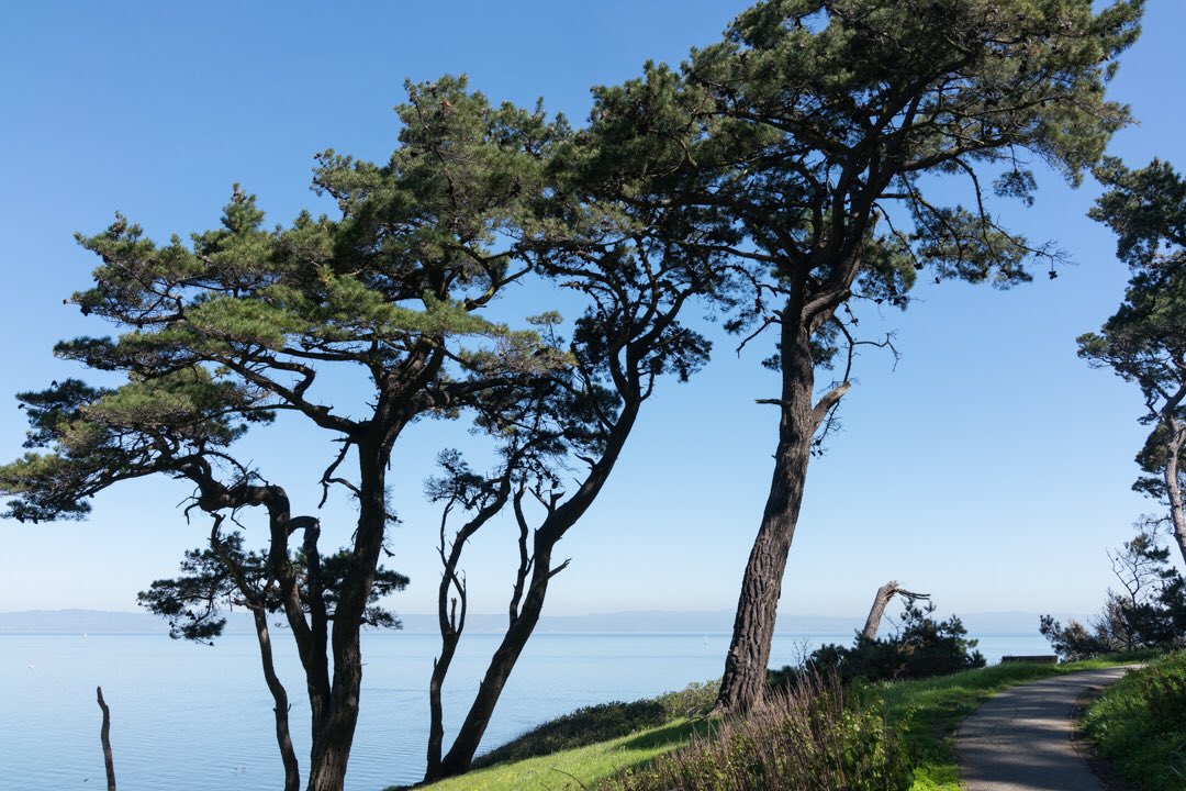 WanderTheWild's tweet photo. Enjoyed a 40 mile #bike ride on the @SFBayTrail with my sister. Fresh air and fantastic scenery! https://t.co/G3nG3X4bFX