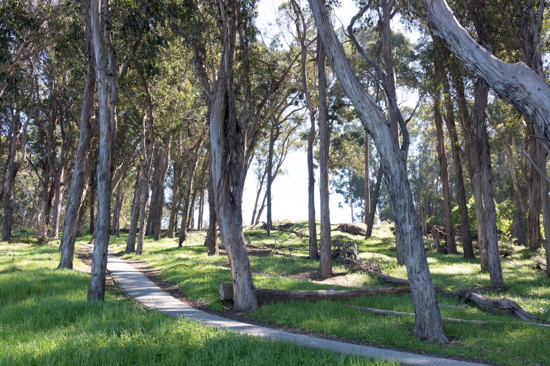 WanderTheWild's tweet photo. Enjoyed a 40 mile #bike ride on the @SFBayTrail with my sister. Fresh air and fantastic scenery! https://t.co/G3nG3X4bFX