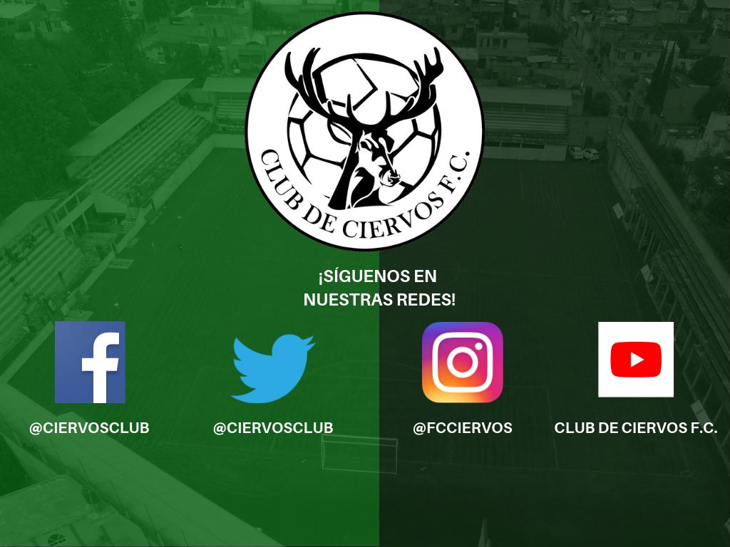 CiervosClub's tweet photo. Sígannos también en: 

#AMORXCIERVOS 💚🦌 https://t.co/cCKnm93PUQ