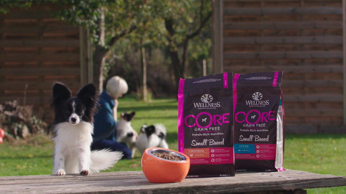 kennelgate's tweet photo. #WellnessCORE The taste of Health &amp; Happiness Approved by Dylan! #DylantheVillain

2019 #BestinShowWinner at @Crufts is 100% fuelled by CORE Small breed! There is a reason why CORE is one of our best sellers! Now with 20% OFF #crufts2019 #pappillon #crufts #cruftswinner #winner https://t.co/DjjdECh4Qf