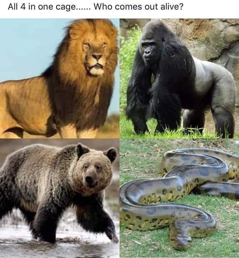 CauseWereGuys's tweet photo. Who you got?😂😂 https://t.co/S9R6F8rEaE