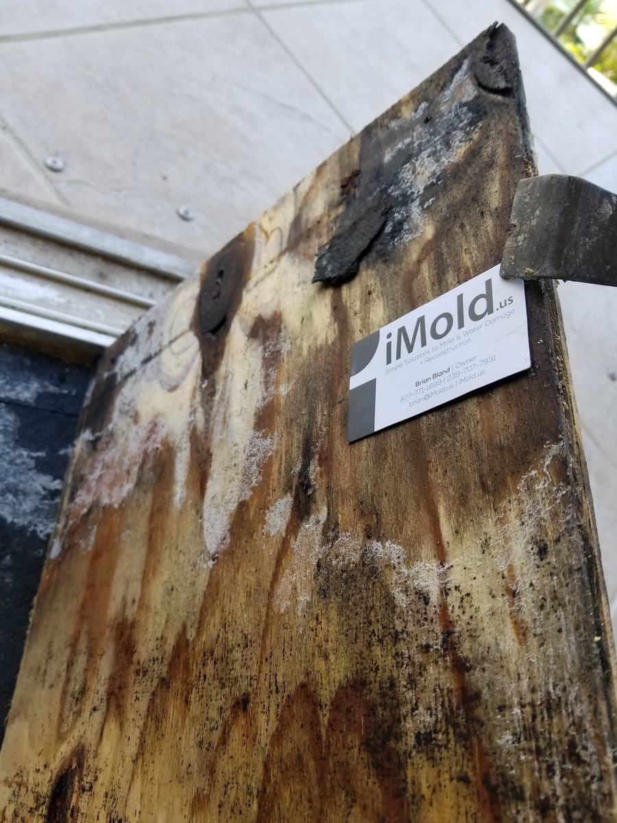 iMoldUS's tweet image. Ever wonder what your subfloor will look like after sitting wet for long periods of time? #moldy #2layers #imold #weremoveit