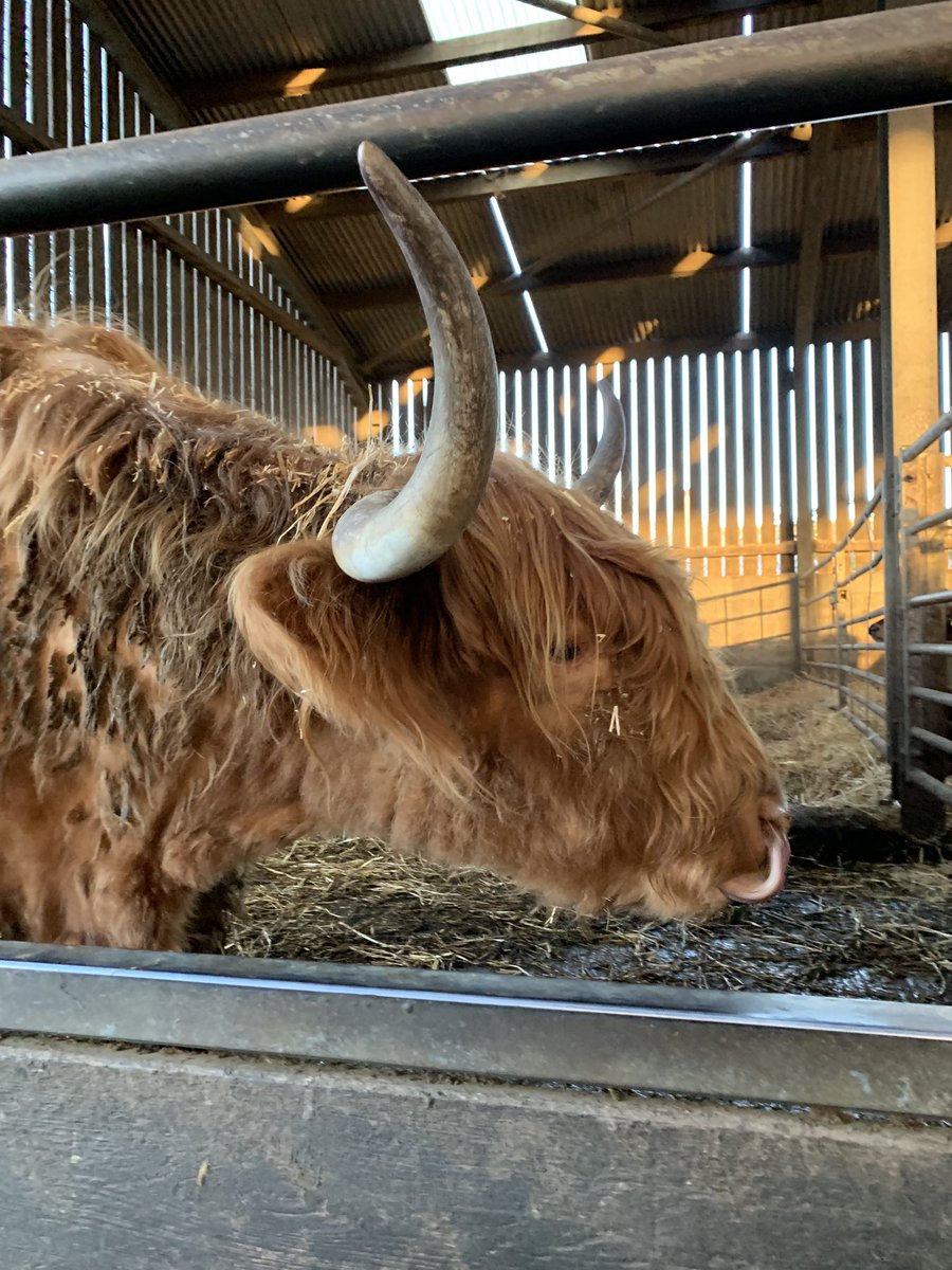 When you find beauties like this at work