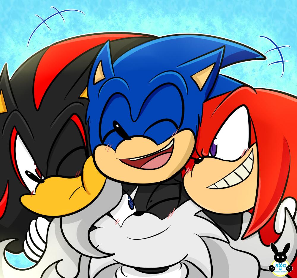 Jax on X: Day 7 of drawing Sonic ships: Sonic x Shadow. #sonadow