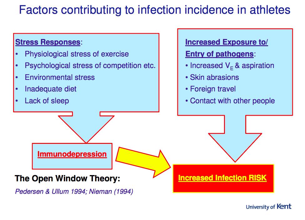 Neovite's tweet photo. A mixture of training stresses as well as environmental factors make athletes more susceptible to illness

It's a constant battle for athletes to maintain consistent levels of training

Athletes can protect their immune system with Neovite #colostrum

🎓https://t.co/QTOfnDpVxk https://t.co/QDdgQ57rfn