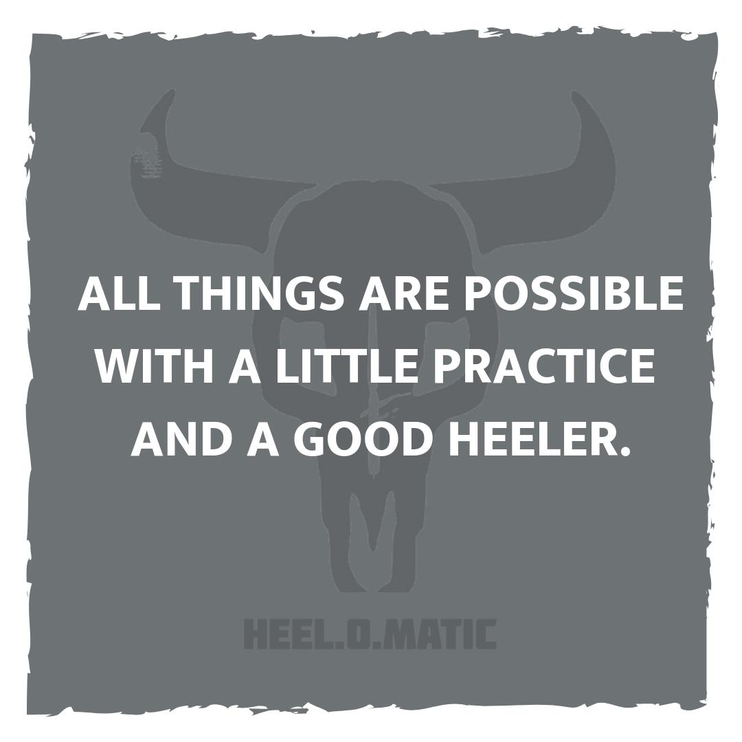 Here's to ＨＥＥＬＥＲＳ...
May we know them. 
May we raise them. 
May we be them.

#teamropertuesday #youmightbeateamroperif
#heelomatic #perfectpractice